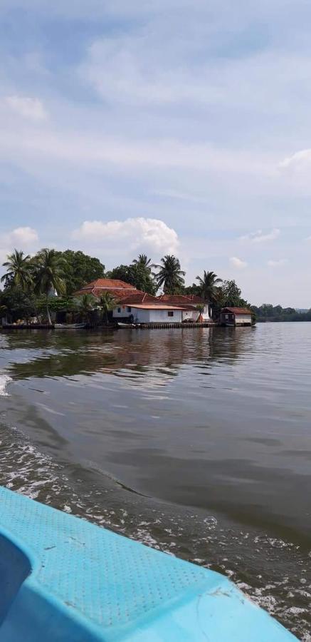 Rashmi Homestay Balapitiya Exterior photo